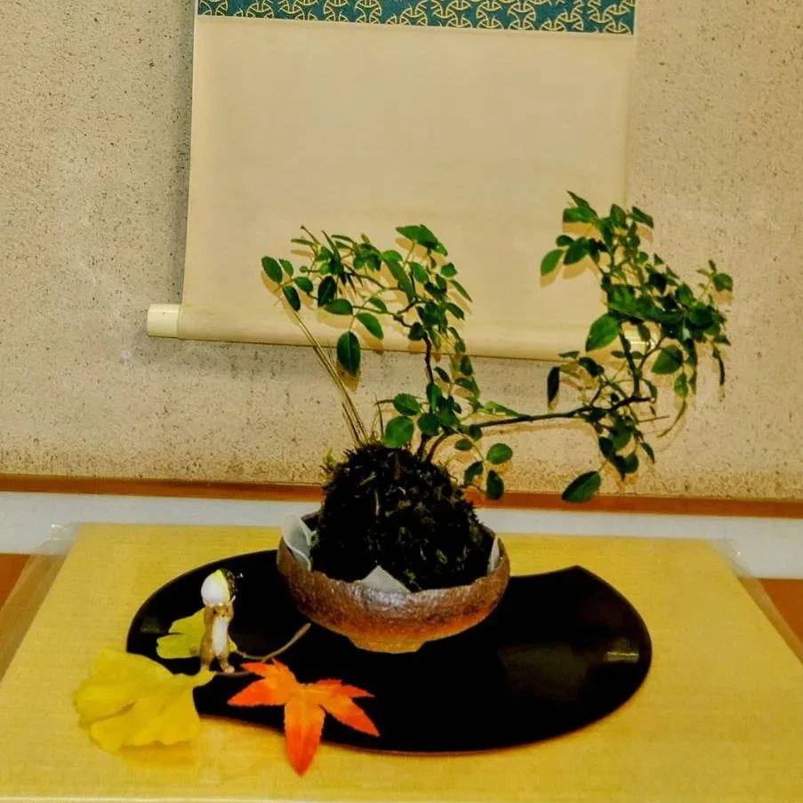画像1324