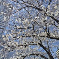 画像1354