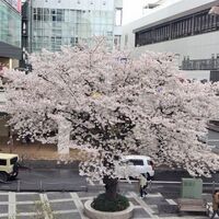 画像1360