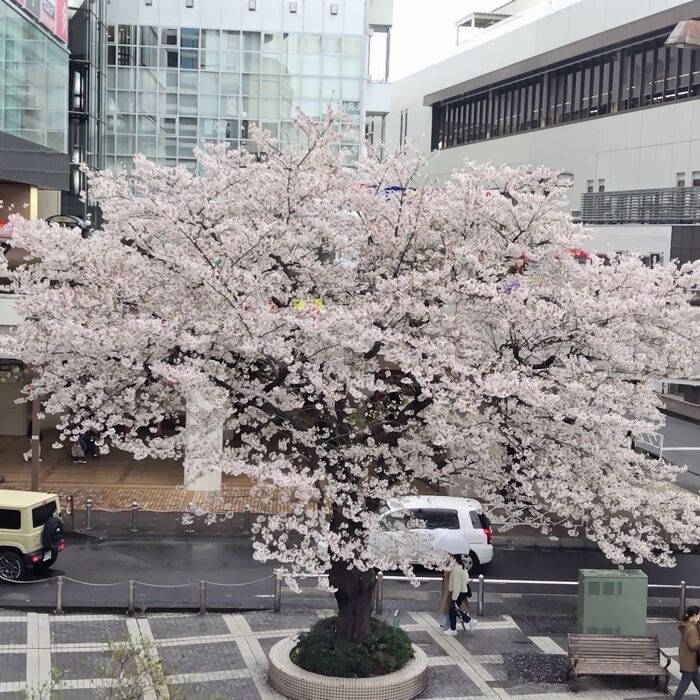 画像1360