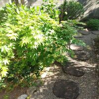 画像1376