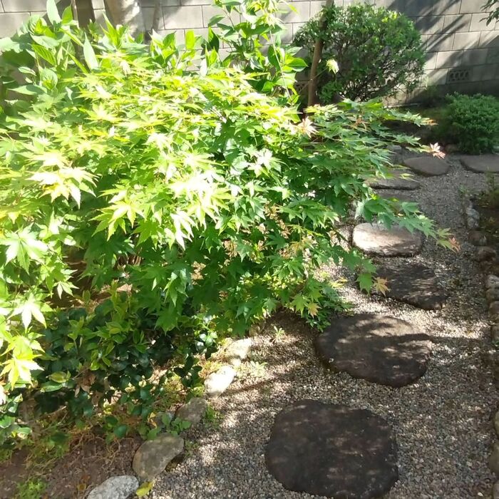 画像1376