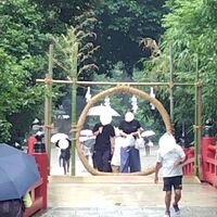 画像1409