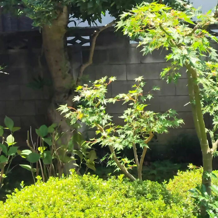 画像1544